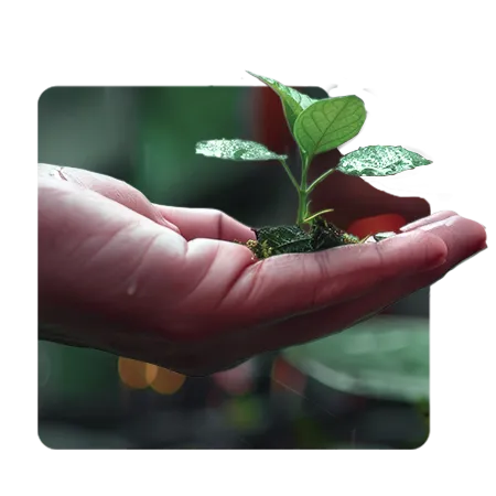 Tata Electronics - Working towards a greener tomorrow